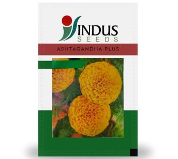 Indus Seeds — Ashtagandha Plus