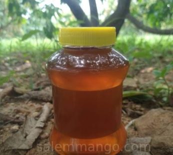 Pure Natural Eucalyptus Honey 500g