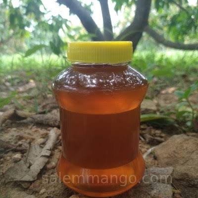 Pure Natural Eucalyptus Honey 500g