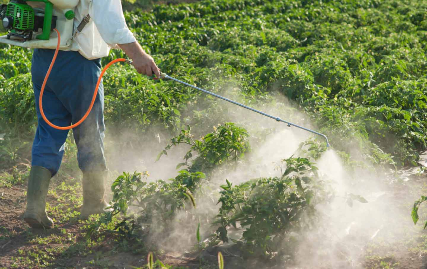 Insecticides